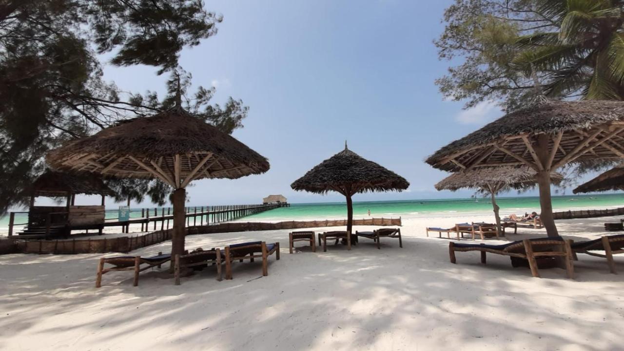 Maisha Marefu Apartments Kiwengwa  Luaran gambar